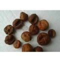 100% Natural Shiva Luo Zi Extract